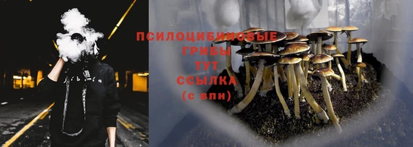 амф Аркадак