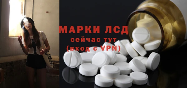 амф Аркадак