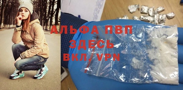 молекула духа Арсеньев