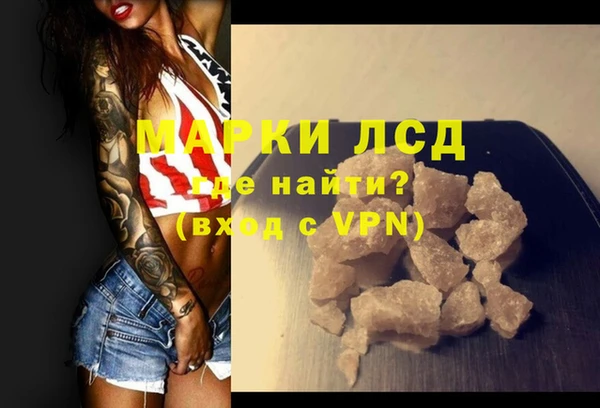 молекула духа Арсеньев