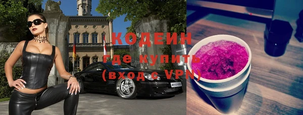 молекула духа Арсеньев